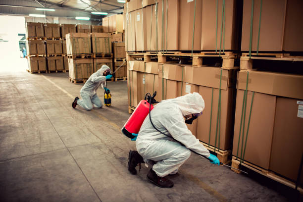 Best Pest Control for Businesses  in Zellwood, FL