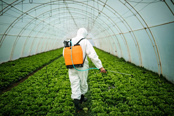Professional Pest Control in Zellwood, FL