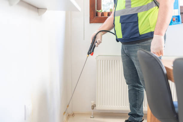 Best Termite Control Services  in Zellwood, FL