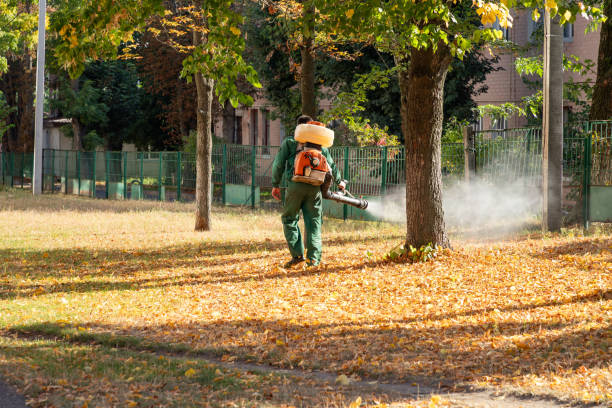 Best Best Pest Control Companies  in Zellwood, FL