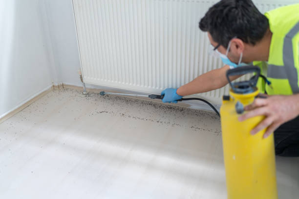 Best Pest Inspection Near Me  in Zellwood, FL