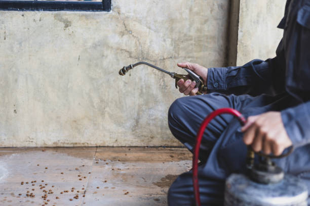 Best Commercial Pest Control Services  in Zellwood, FL